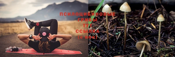ГАЛЛЮЦИНОГЕННЫЕ ГРИБЫ Новокубанск