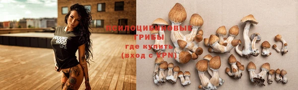 наркотики Новодвинск