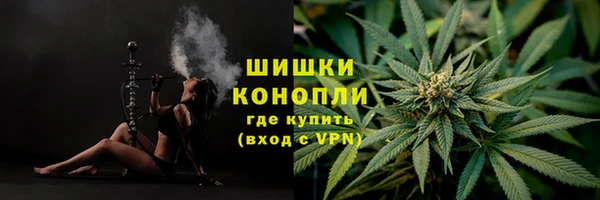 ГАЛЛЮЦИНОГЕННЫЕ ГРИБЫ Новокубанск