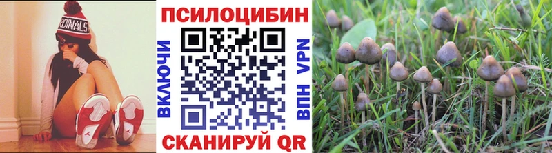 hydra ONION Азнакаево Псилоцибиновые грибы ЛСД дарнет шоп