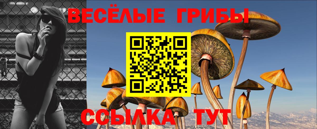 Псилоцибиновые грибы GOLDEN TEACHER  что такое   Азнакаево  Псилоцибиновые грибы прущие грибы 