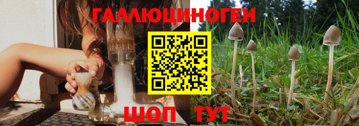 Псилоцибиновые грибы Cubensis  Вход с VPN  наркотики  Азнакаево 